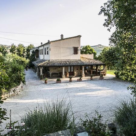 Agriturismo Col Morino Pineto Exterior photo
