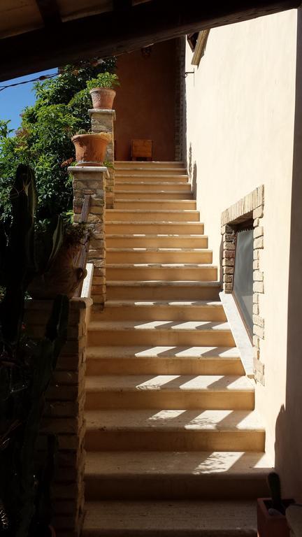 Agriturismo Col Morino Pineto Exterior photo