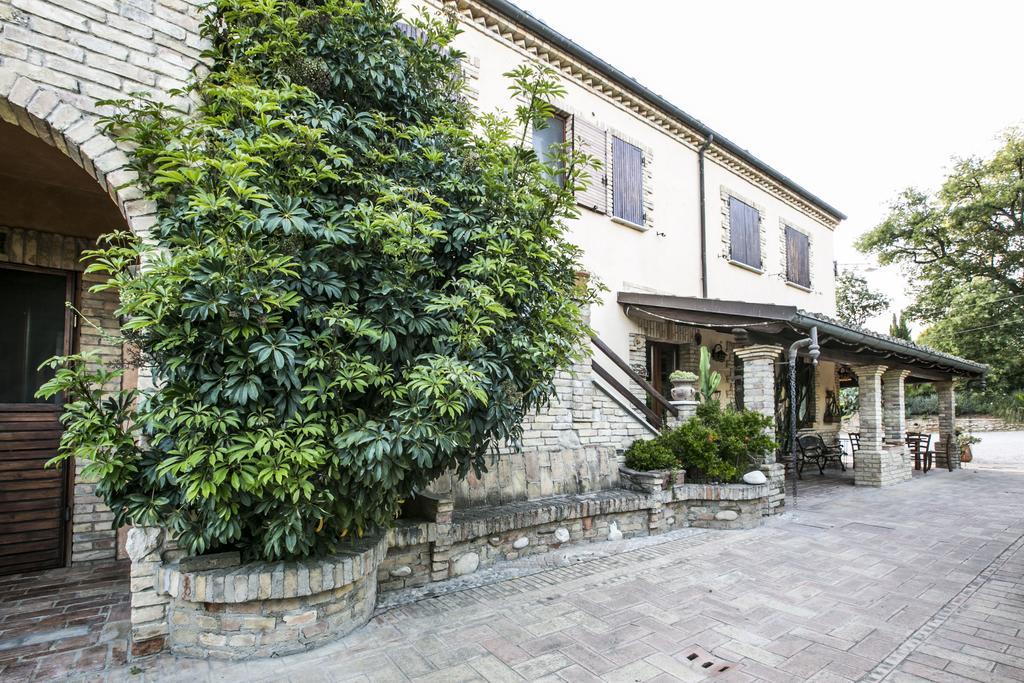 Agriturismo Col Morino Pineto Exterior photo