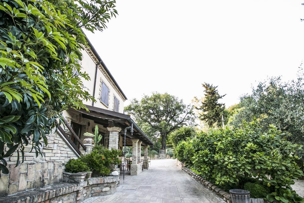 Agriturismo Col Morino Pineto Exterior photo